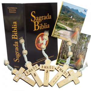 Biblia Rústica Gruesa CEE + Diario con Rosario Emaús Gratis