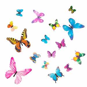 Imán Mariposa