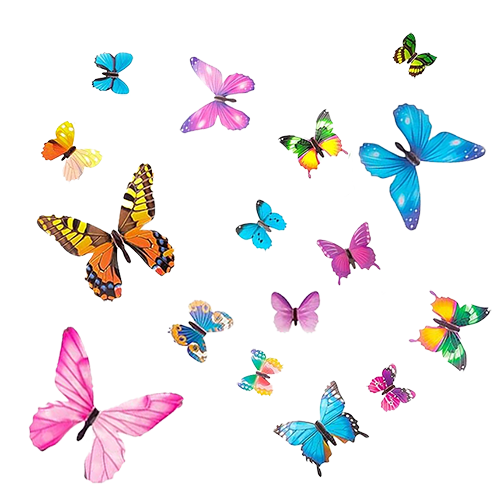 Imán Mariposa